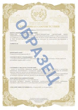 Образец Сертификат СТО 01.064.00220722.2-2020 Прокопьевск Сертификат СТО 01.064.00220722.2-2020 